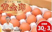 【定期便】産みたて新鮮卵 30個入り 3か月 定期便 | 卵 たまご 玉子 鶏卵 新鮮 濃厚 生卵 赤玉たまご 目玉焼き オムレツ 健康 産地直送 ※沖縄・離島への配送不可【aubless023】 