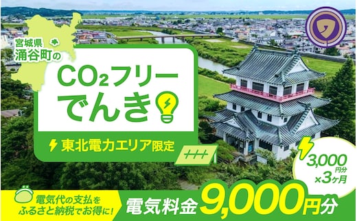 涌谷町CO2フリーでんき 3,000円×3ヶ月コース（注：お申込み前に申込条件を必ずご確認ください）東北電力 電気 電力 東北 電気代 電気料金 青森県 岩手県 宮城県 秋田県 山形県 福島県 新潟県 でんき【ens001】