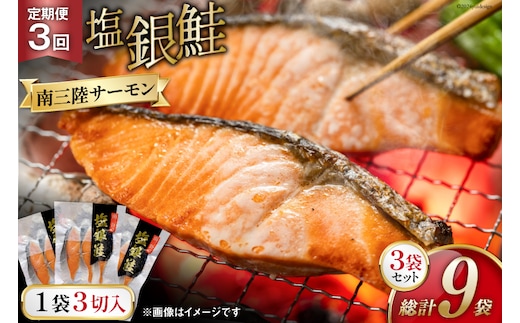 3回 定期便 鮭 切り身 塩銀鮭パック 3切 ×3袋 ×3回 総計9袋 [たみこの海パック 宮城県 南三陸町 m304amh560045] サーモン 銀鮭 塩銀鮭 シャケ 切身 さけ サケ 国産 小分け 個包装 冷凍