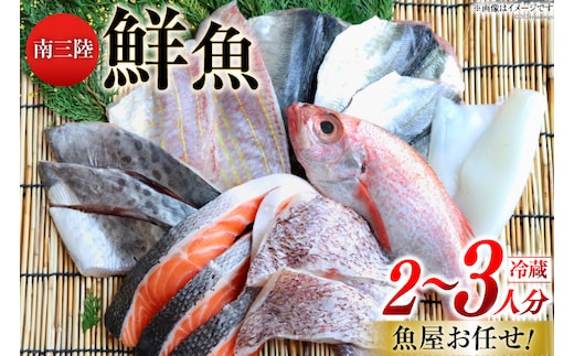 鮮魚 詰め合わせ 魚屋お任せ！南三陸お楽しみ鮮魚 セット 2～3人分 [さかなのみうら 宮城県 南三陸町 30aj0001] 魚 タコ 牡蠣 ほや ホタテ 塩辛 佃煮 切り身