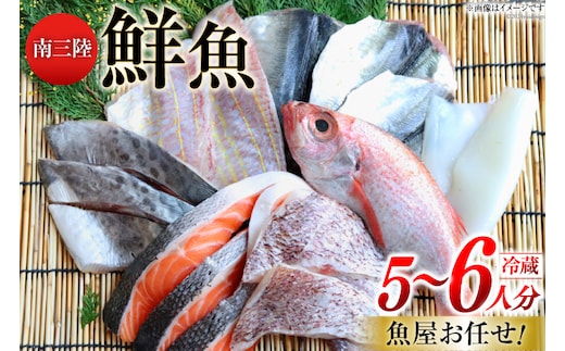 鮮魚 詰め合わせ 魚屋お任せ！南三陸お楽しみ鮮魚 セット 5～6人分 [さかなのみうら 宮城県 南三陸町 30aj0002] 魚 タコ 牡蠣 ほや ホタテ 塩辛 佃煮 切り身