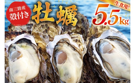 【期間限定発送】 牡蠣 南三陸志津川産 殻付き牡蠣 5.5kg 30個前後 [南三陸牡蠣倶楽部 宮城県 南三陸町 30ao0002] カキ かき 生牡蠣 魚貝類 生牡蠣 貝 海鮮 魚介類 オイスター カキフライ カキ鍋 アヒージョ 魚介 期間限定 冷蔵 新鮮 濃厚