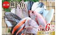 鮮魚 詰め合わせ 魚屋お任せ！南三陸お楽しみ鮮魚 セット 5～6人分 [さかなのみうら 宮城県 南三陸町 30aj0002] 魚 タコ 牡蠣 ほや ホタテ 塩辛 佃煮 切り身