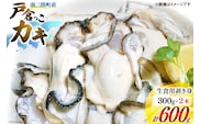 【期間限定発送】 牡蠣 生食 南三陸町産 戸倉っこカキ 300g×2本 計600g [宮城県漁業協同組合志津川支所 宮城県 南三陸町 30an0002] 生カキ 生食用 剥き身 かき カキ 生ガキ むき身 むき