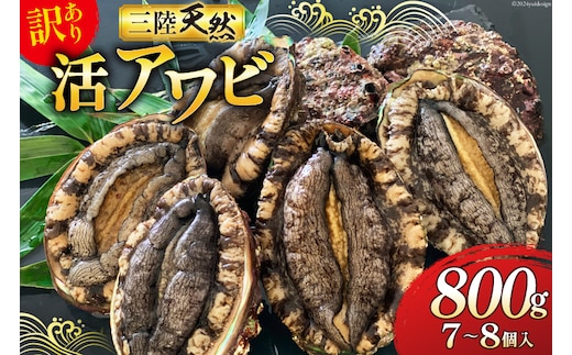 【期間限定発送】 海鮮 訳あり 三陸産 活アワビ 800g (7～8個) [マルヤ五洋水産 宮城県 南三陸町 30al0006] 魚介類 あわび 鮑 天然 蝦夷あわび 貝 冷蔵 刺身 刺し身 活き ステーキ