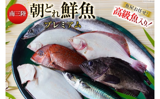 鮮魚 詰め合わせ 朝どれ鮮魚BOX プレミアム 下処理済み [さかなのみうら 宮城県 南三陸町 30aj0008] 魚 旬 朝とれ 産地直送
