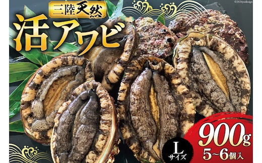 【期間限定発送】 海鮮 魚介 三陸 天然 活 アワビ Lサイズ 900g(5～6個入) [マルヤ五洋水産 宮城県 南三陸町 30al0009] 魚介類 あわび 鮑 天然 蝦夷あわび 貝 冷蔵 刺身 刺し身 活き ステーキ