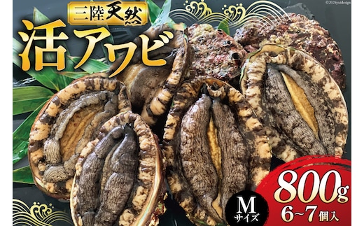 【期間限定発送】 海鮮 魚介 三陸 天然 活 アワビ Mサイズ 800g(6～7個入) [マルヤ五洋水産 宮城県 南三陸町 30al0010] 魚介類 あわび 鮑 天然 蝦夷あわび 貝 冷蔵 刺身 刺し身 活き ステーキ