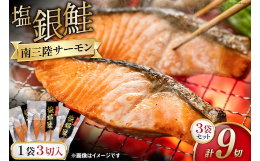鮭 切り身 塩銀鮭パック 3切 ×3袋 計9切 [たみこの海パック 宮城県 南三陸町 m304amh560065] サーモン 銀鮭 塩銀鮭 シャケ 切身 さけ サケ 国産 小分け 個包装 冷凍