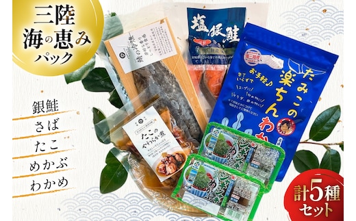 海鮮 詰め合わせ 三陸 海の恵み 5種 セット [たみこの海パック 宮城県 南三陸町 30ae0033] 海鮮セット 魚介 魚介類 魚 海藻 藻 鮭 銀鮭 しゃけ 酒 さけ サバ 鯖 さば たこ わかめ めかぶ