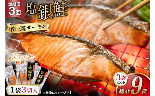 3回 定期便 鮭 切り身 塩銀鮭パック 3切 ×3袋 ×3回 総計9袋 [たみこの海パック 宮城県 南三陸町 m304amh560045] サーモン 銀鮭 塩銀鮭 シャケ 切身 さけ サケ 国産 小分け 個包装 冷凍