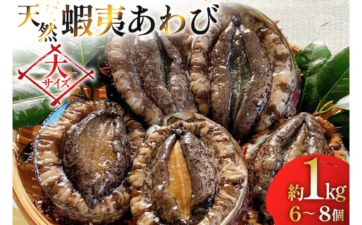 アワビ 鮑 天然 蝦夷あわび パック 約1kg [たみこの海パック 宮城県 南三陸町 m304amh560080] 冷凍 セット 高級 豪華 海鮮