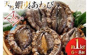 アワビ 鮑 天然 蝦夷あわび パック 約1kg [たみこの海パック 宮城県 南三陸町 m304amh560080] 冷凍 セット 高級 豪華 海鮮