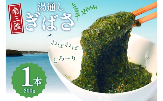 海藻 あかもく 湯通し ぎばさ 1本 [南三陸さんさんマルシェ 宮城県 南三陸町 m304amh600083] 冷凍 国産 アカモク