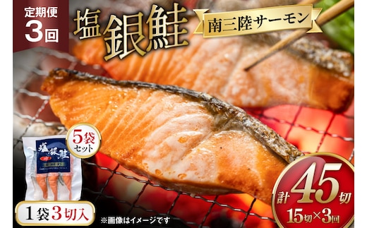 3回 定期便 塩銀鮭パック 3切×5袋×3回 総計15袋 [たみこの海パック 宮城県 南三陸町 m304amh560085] 鮭 切り身 サーモン 銀鮭 塩銀鮭 シャケ 切身 さけ サケ 国産 小分け 個包装 冷凍
