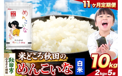 米《定期便11ヶ月》めんこいな【白米】 米どころ秋田県産 令和8年産 精米 10kg（2kg×5袋） [米 お米 こめ 白米 精米 ブランド米 小分け ご飯 ごはん 米どころ 秋田県産 2kg袋]