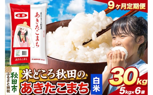 米《定期便9ヶ月》あきたこまち【白米】 米どころ秋田県産 令和8年産 精米 30kg（5kg×6袋） [米 お米 こめ 白米 精米 あきたこまち ブランド米 小分け ご飯 ごはん 米どころ 秋田県産 5kg袋]
