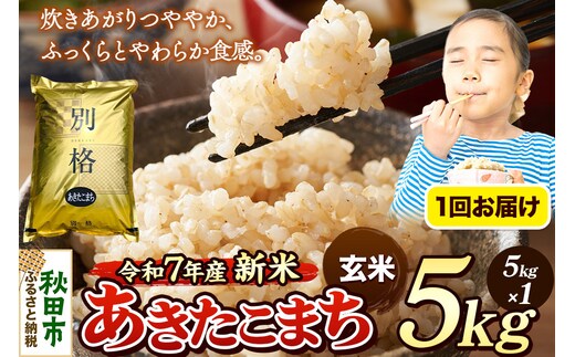 《令和7年産 新米》 米 あきたこまち 5kg 【玄米】 秋田県産