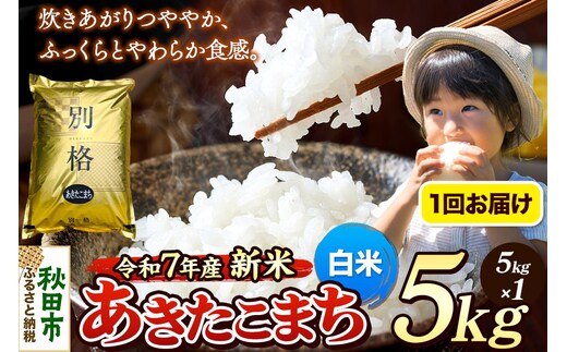 《令和7年産 新米》 米 あきたこまち 5kg 【白米】 秋田県産