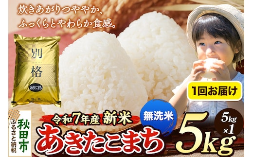 《令和7年産 新米》 米 あきたこまち 5kg 【無洗米】 秋田県産