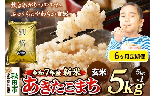《令和7年産 新米》《定期便6ヶ月》 米 あきたこまち 5kg 【玄米】 秋田県産