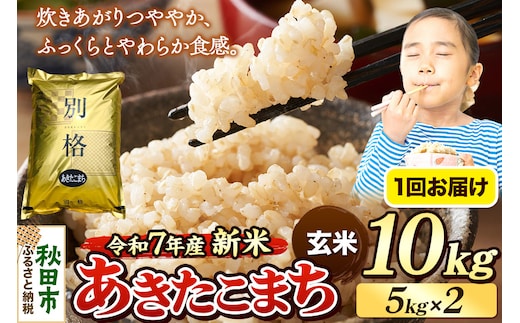 《令和7年産 新米》 米 あきたこまち 10kg（5kg×2袋） 【玄米】 秋田県産