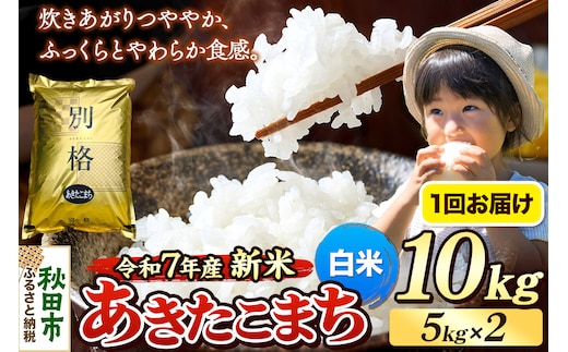《令和7年産 新米》 米 あきたこまち 10kg（5kg×2袋） 【白米】 秋田県産