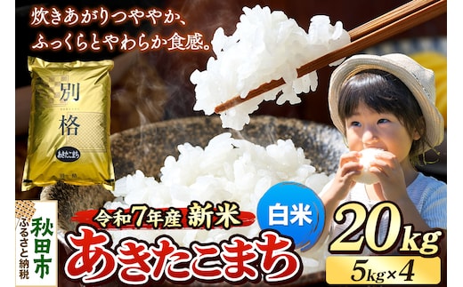 《令和7年産 新米》 米 あきたこまち 20kg（5kg×4袋） 【白米】 秋田県産