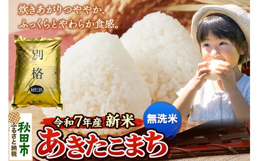 《令和7年産 新米》 米 あきたこまち 30kg（5kg×6袋） 【無洗米】 秋田県産