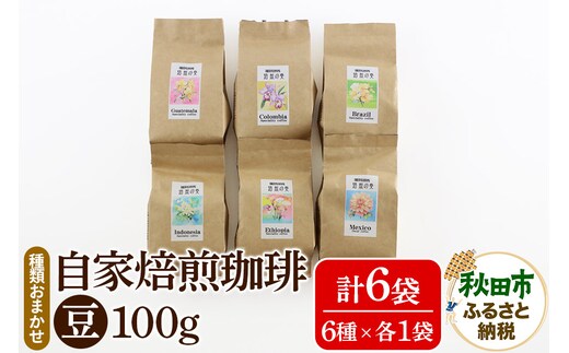 自家焙煎珈琲 豆 100g×おまかせ6種セット 計600g