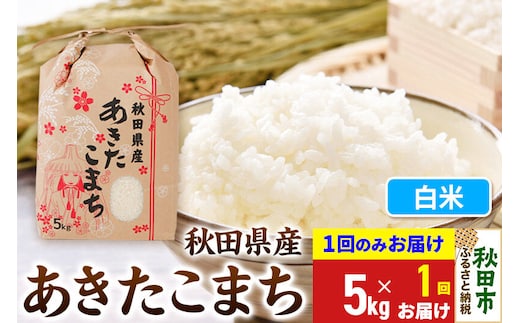《令和8年産》あきたこまち 5kg【1回のみお届け】【白米】秋田県産 こまちライン [秋田 お米 米どころ あきたこまち こまちライン]