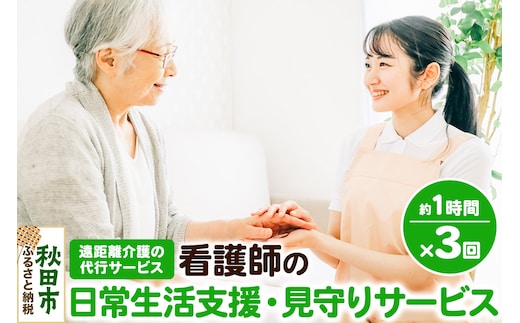 支援 見守り 看護師の日常生活支援・見守りサービス 遠距離介護の代行サービス 1時間 3回 レターパックライトでお届け