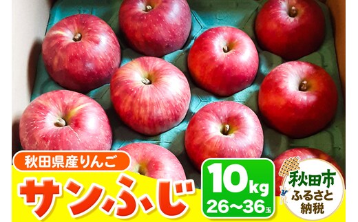 サンふじ 10kg りんご リンゴ 林檎 [秋田県産 贈答用 ギフト 贈り物]