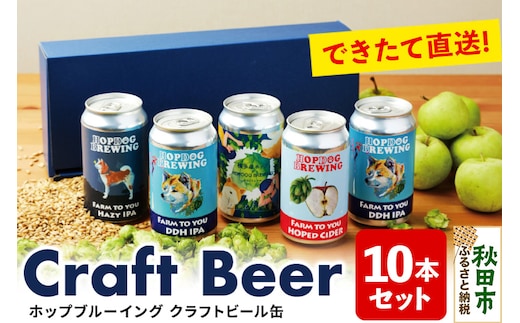 【できたて直送！】クラフトビール缶 10本セット(5本セット×2箱)【ホップドッグブルーイング】