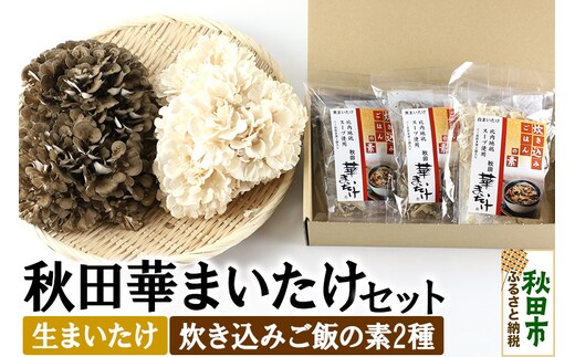 秋田華まいたけ 生まいたけと加工セット 黒まいたけ 約500g 白まいたけ 約500g 炊き込みご飯の素 黒×2パック 炊き込みご飯の素 白×1パック 舞茸
