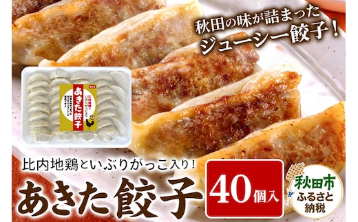 餃子 あきた餃子(40個) 比内地鶏 いぶりがっこ 入り 無限堂 惣菜 冷凍