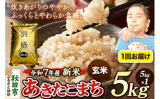 《令和7年産 新米》 米 あきたこまち 5kg 【玄米】 秋田県産