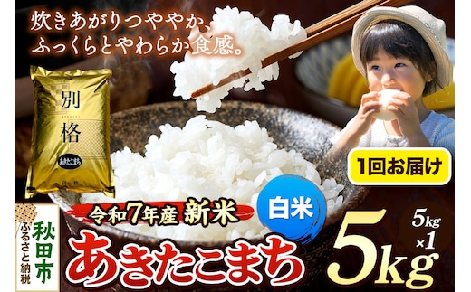 《令和7年産 新米》 米 あきたこまち 5kg 【白米】 秋田県産