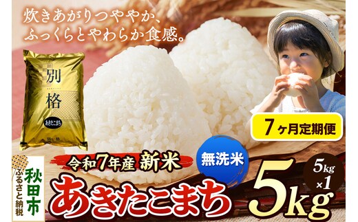 《令和7年産 新米》《定期便7ヶ月》 米 あきたこまち 5kg 【無洗米】 秋田県産