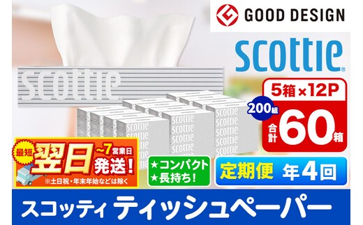 《3ヶ月ごとに4回お届け》定期便 ティッシュペーパー スコッティ 200組 60箱(5箱×12パック) ティッシュ 最短翌日発送