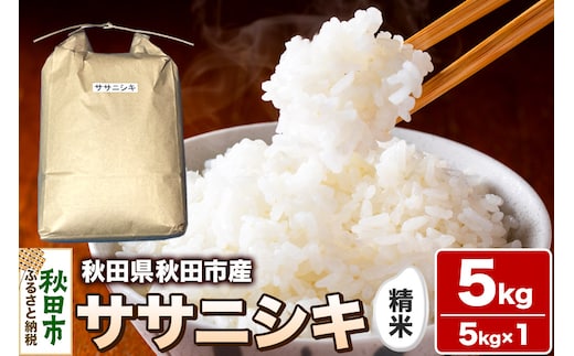 令和7年産 秋田県 秋田市産 ササニシキ 精米 5kg 白米 米