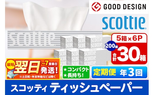 《4ヶ月ごとに3回お届け》定期便 ティッシュペーパー スコッティ 200組 30箱(5箱×6パック) ティッシュ 秋田市オリジナル 最短翌日発送