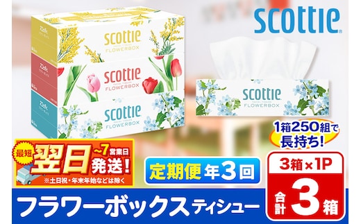 《4ヶ月ごとに3回お届け》定期便 ティッシュペーパー スコッティ ティシュー フラワーボックス 250組 3箱パック×1パック 秋田市オリジナル 最短翌日発送