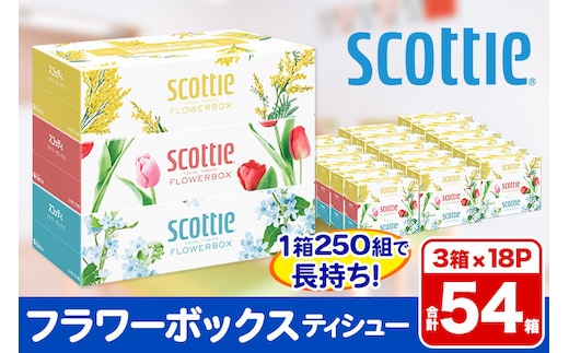 ティッシュペーパー スコッティ フラワーボックス250組 54箱(3箱×18パック) 日用品