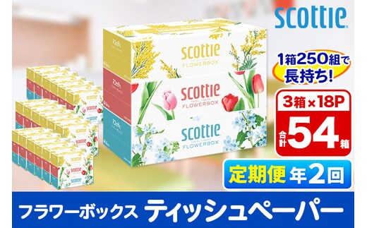 《6ヶ月ごとに2回お届け》定期便 ティッシュペーパー スコッティ フラワーボックス250組 54箱(3箱×18パック)