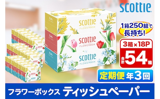 《4ヶ月ごとに3回お届け》定期便 ティッシュペーパー スコッティ フラワーボックス250組 54箱(3箱×18パック)
