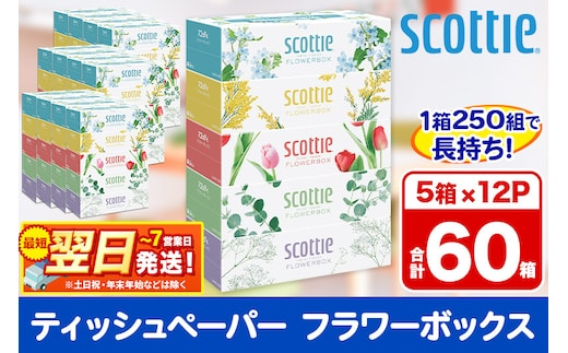 ティッシュペーパー スコッティ フラワーボックス250組 60箱(5箱×12パック) ティッシュ 日用品 最短翌日発送