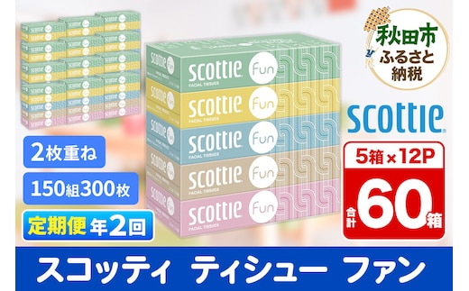 《6ヶ月ごとに2回お届け》定期便 ティッシュペーパー スコッティ ティシュー ファン 150組 5箱×12パック