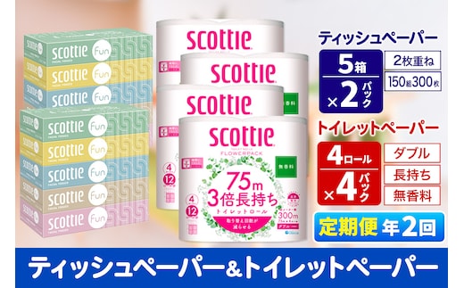 《6ヶ月ごとに2回お届け》定期便 ティッシュペーパー スコッティ ファン 150組 5箱×2パック ＆ スコッティトイレットペーパー ダブル 無香料 3倍長持ち4ロール×4パック 秋田市オリジナル