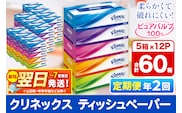 《6ヶ月ごとに2回お届け》定期便 ティッシュ クリネックス ティシュー 5箱×12パック 最短翌日発送
